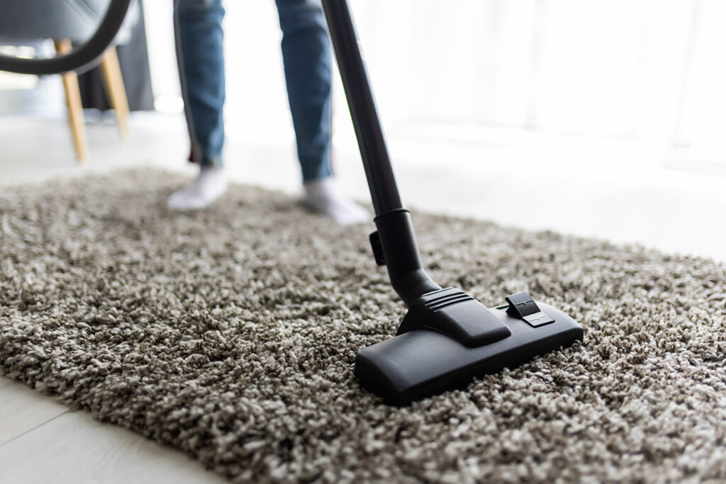 carpet and upholstery cleaning